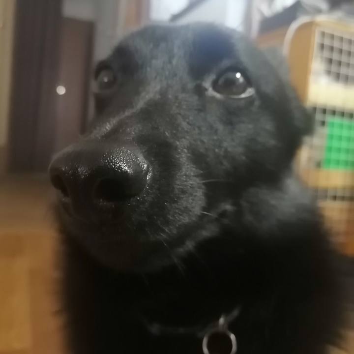 064ee45b d46e 4994 8c0b 5cc561e12f8c 1620081908376