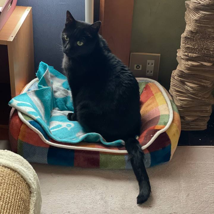 064ef621 14aa 4d02 92ed e8dd862e6e31 1614908387316