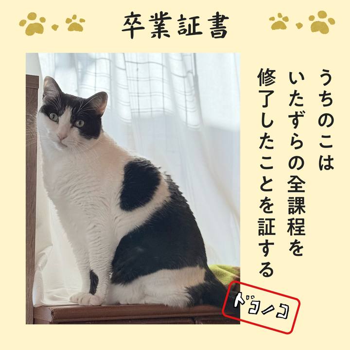 064f2712 8482 45e9 8e61 f6115b0987b1 1772156794233