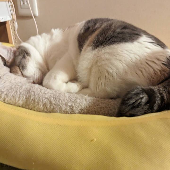 064f2ee8 dfc3 4697 92b5 a108a5de3ed7 1709266555019