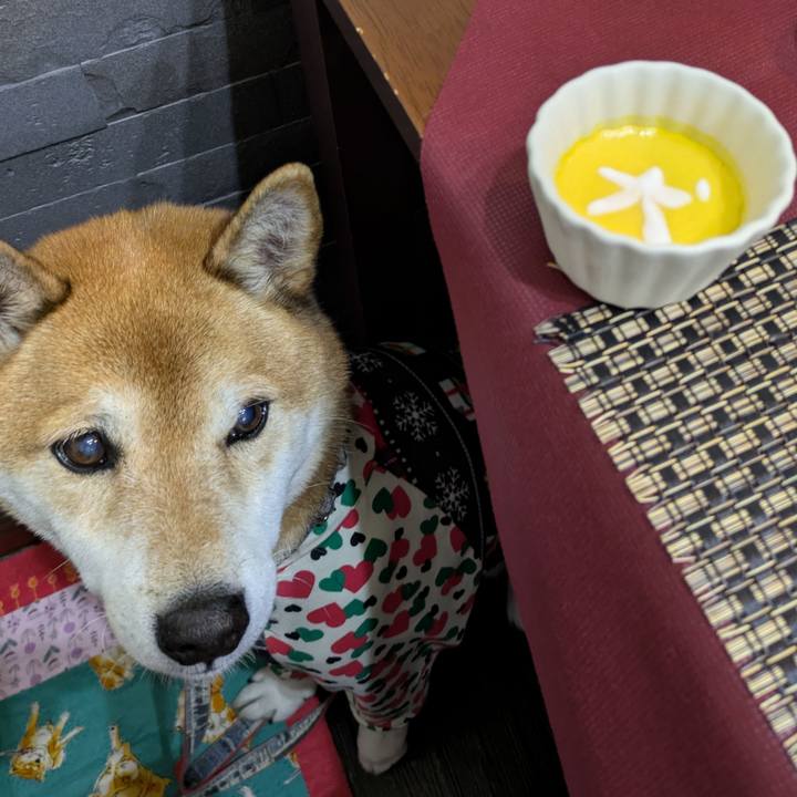 064f3165 e1e6 4523 914a cd770bb71996 1734620516083