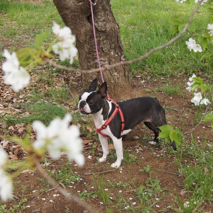 064f3cac c9c9 4504 974d 834e59f9fb9a 1522583341274