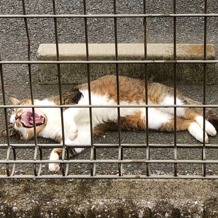 064f3dc0 0ea0 47b9 8e9e 689e642a5dce 1529323062432