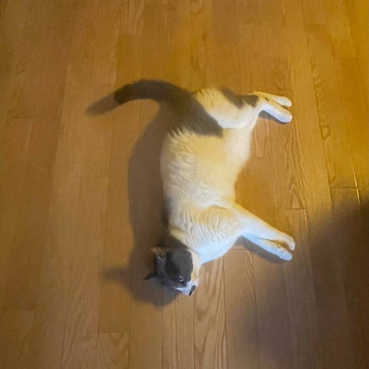 064f3e64 a7bf 43d0 b526 45f866a1b14d 1745102688169