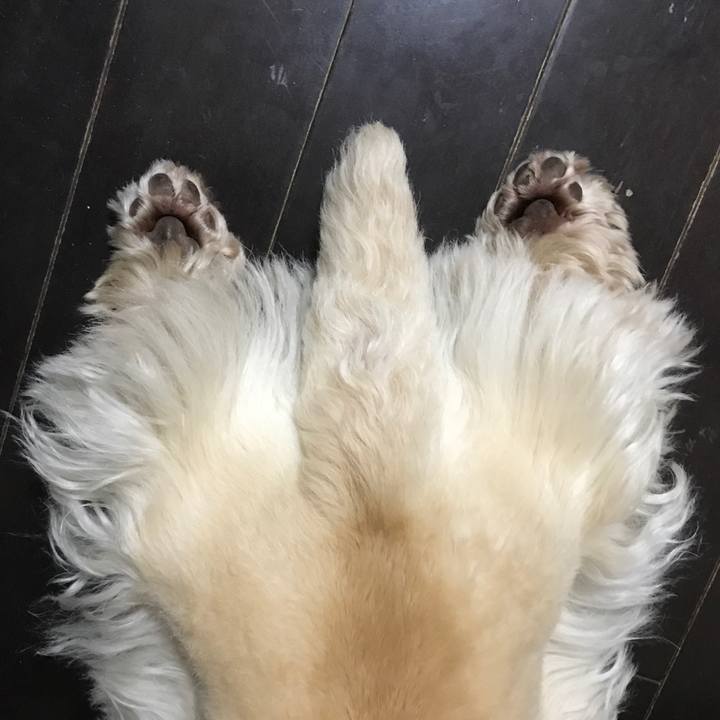 064f57ad ef5a 4463 837d 417eecb91c66 1553295412070