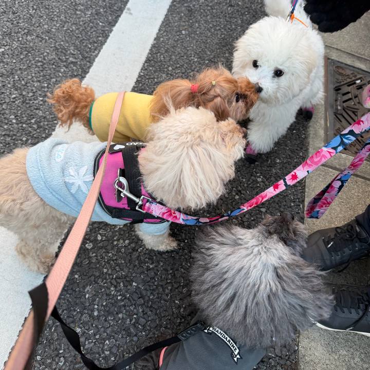 064f5faa 9725 4b49 9fa9 9d34b129dc46 1769039038216