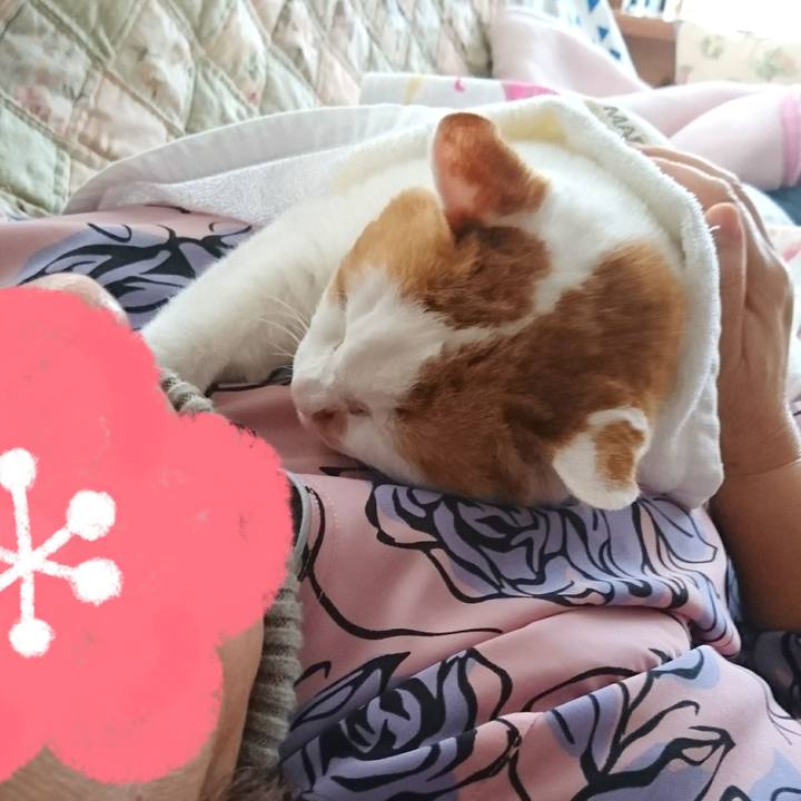 064f73cf c787 407a b7d0 fe8853142d10 1706354838406