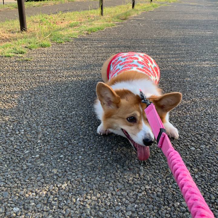 064f77d6 cdab 42f8 9220 e3bba7916214 1591654233531