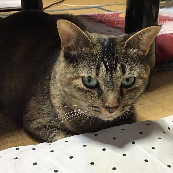 064f9e26 00bc 4e12 a321 9f34cec63f21 1660041336829