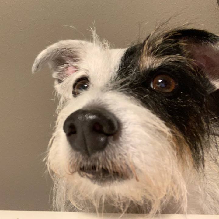 064fb7ab 934e 4897 b181 62bcde4fdfc6 1698919368674