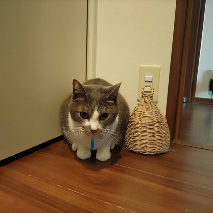 064fe32b 9e4d 4a93 9b42 97e7956296d8 1668130230615