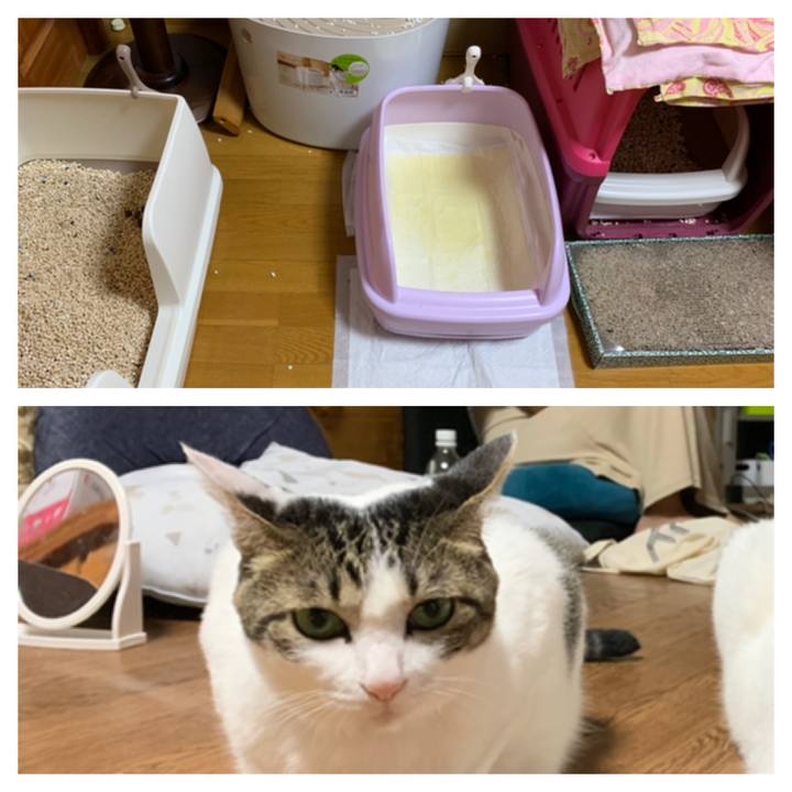 064feb83 3594 47c5 8b85 23c5bb213007 1565361582026