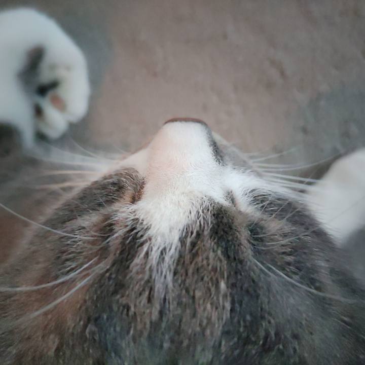 064ff67c 66ea 4ab6 a1d1 abaf4e8cfe61 1672624129435