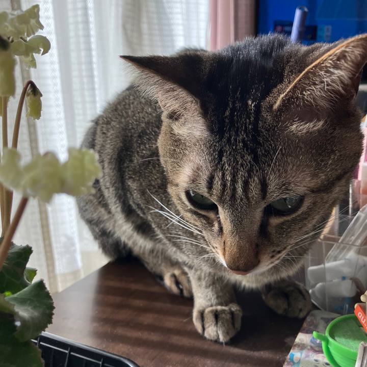 065001d1 9e8e 4dc9 b233 c8ace78e2c87 1769730059423