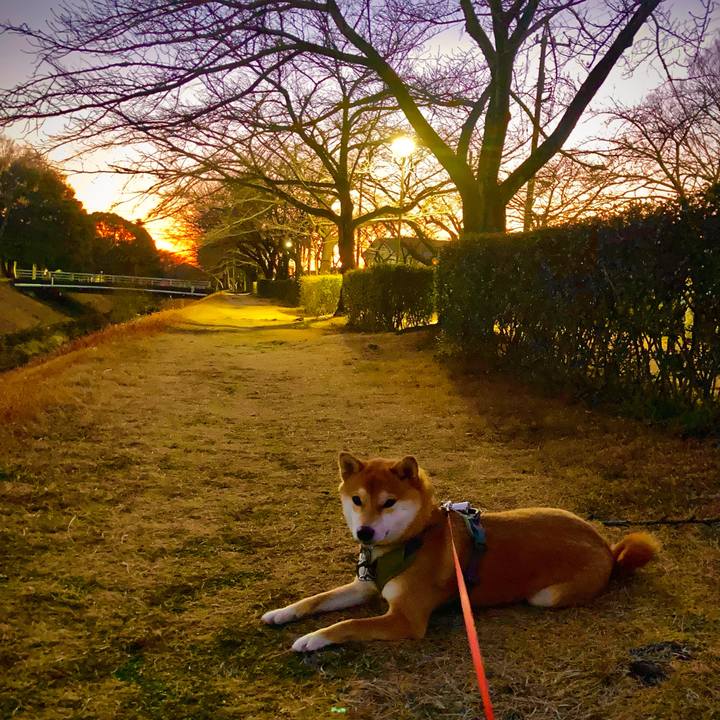 06501806 3d94 42b3 814e 2eb7b3fee3d9 1641782026955