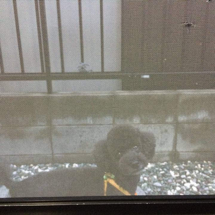 06502413 b880 47ef b094 8dd0b41d983a 1771244447556