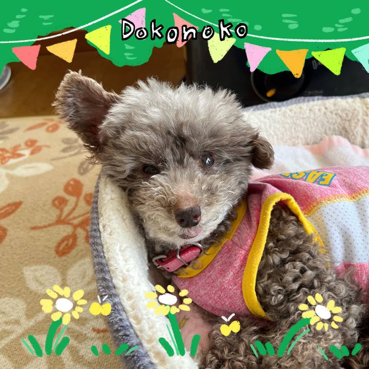 06502e52 acd3 4db4 861a 44c79ea33d31 1711499028221