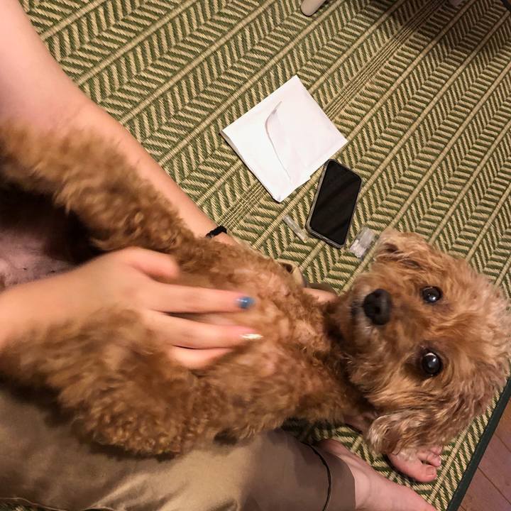 06509e9c 5ad2 4d7d b50b 634bbc55b24c 1567388396530