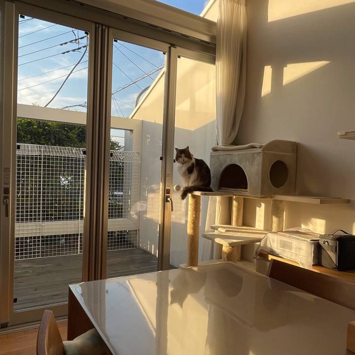 0650f2f8 ceb0 4c0d a4ff 50585a6c5236 1670919097893