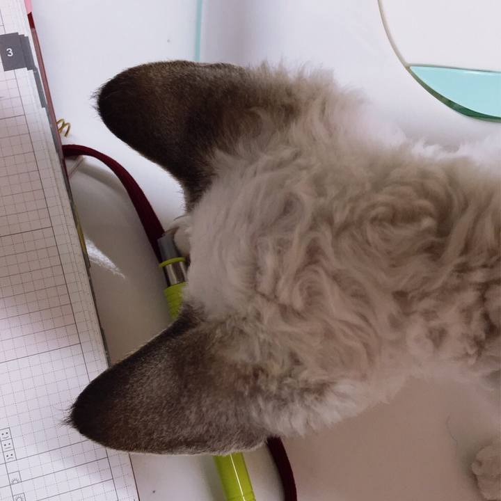 06511073 e68f 45c0 8b3d d8a3edd90e68 1584588054574