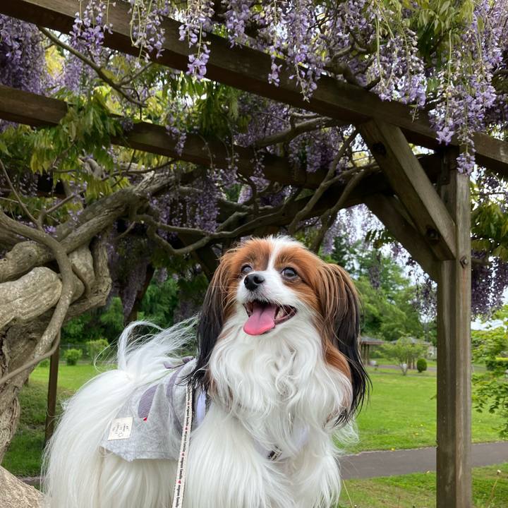 06511d3c 755b 4a58 8036 bf08fa8ce29a 1717324851204