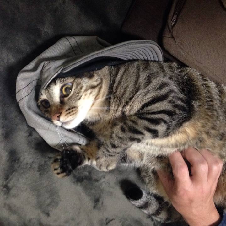 06513cef b3f6 4f8d aeb8 c2fd38e0d4c6 1512055786928