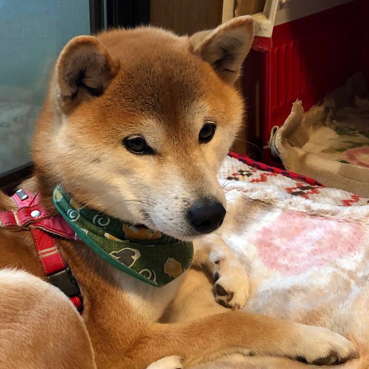 065146e3 9f10 4d89 8adf 02464d3d80ef 1551093095455