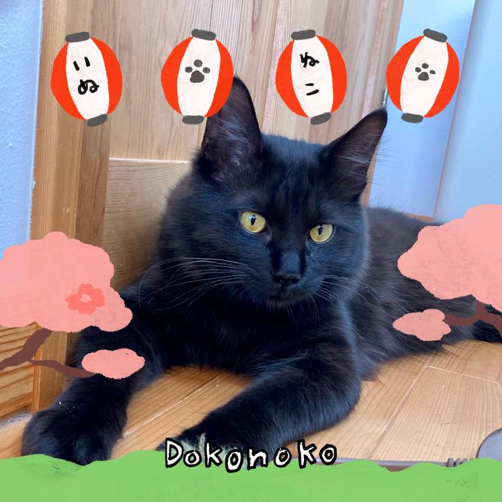 065165aa 0327 4ae4 a8c1 fb70dc4ea2ff 1712320370726