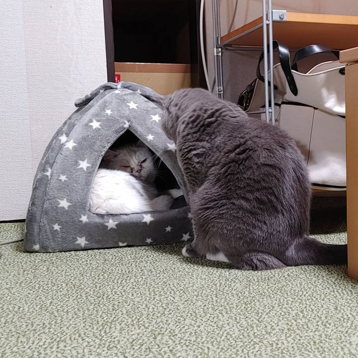 0651a02a 0717 4c71 9bb6 65d81febf414 1637417005576