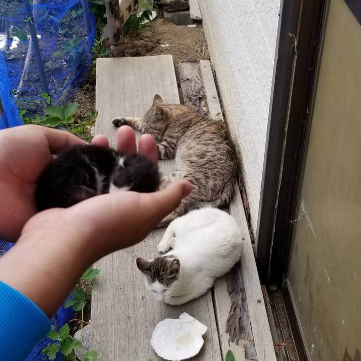 0651b414 3a0e 42b0 9770 20478200ea46 1687361490282