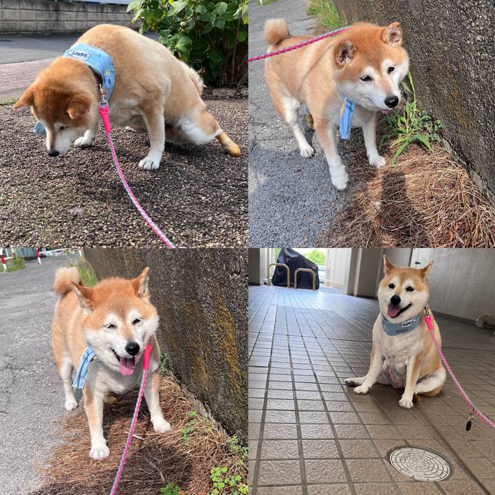 0651ccfd 3b5e 49ed b047 ab6cc20ba03f 1720314225434