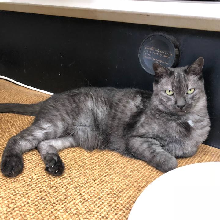 0651dd38 6367 44db bede 36b290228888 1546222354933