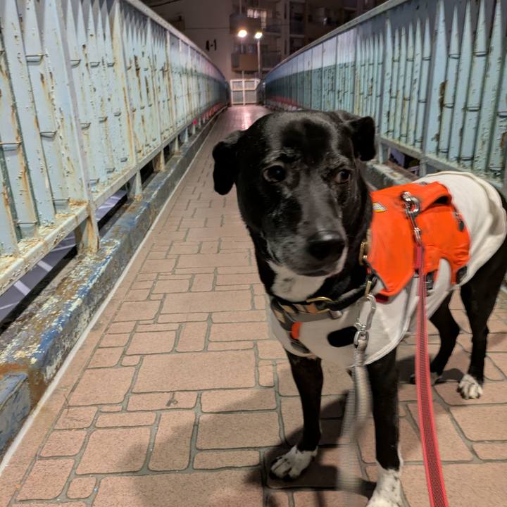 0651ddf0 ae9c 4faa 950d 8aebde21610a 1737723640435