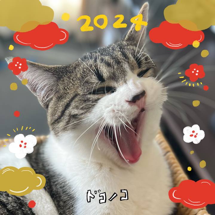0651febd 0135 4d21 99e4 3dc9df969364 1704190666015