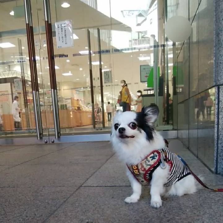 06521270 24dc 4110 a330 0648edb6eb5a 1527939624802