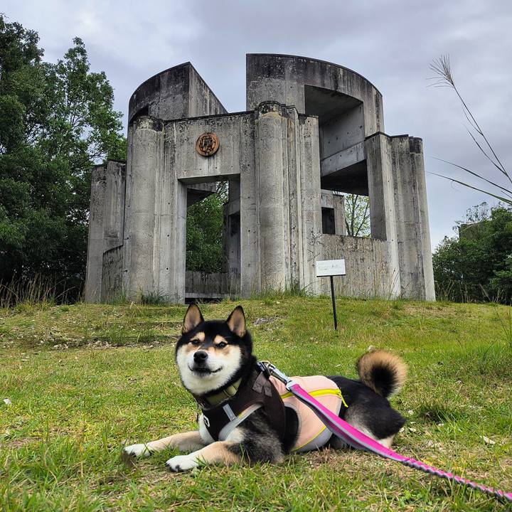 0652191a 5097 4176 a65f b79a64ffd154 1760189840200