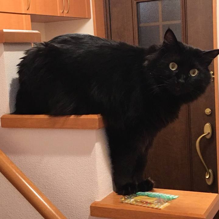 0652aa8f 47bd 4067 91c1 69edf7c16b80 1519741188605