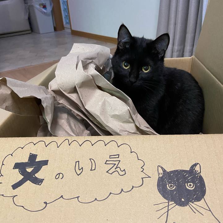 0652dbd6 5bcd 4a33 ad7d 97a19602fbbb 1622375561649