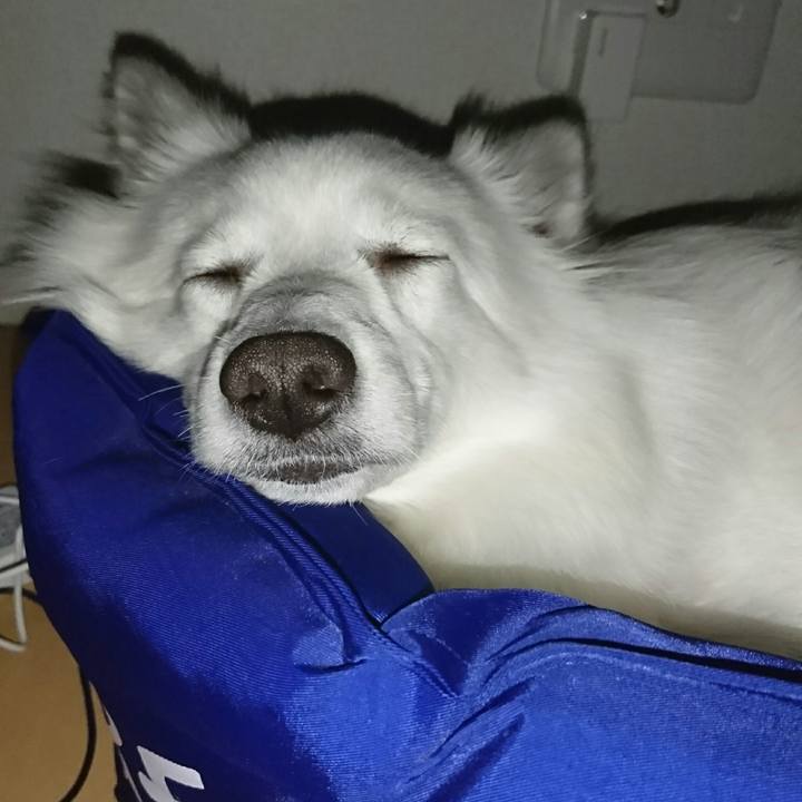 0652e791 6454 49d1 b1bd 06c69393261a 1514305036175