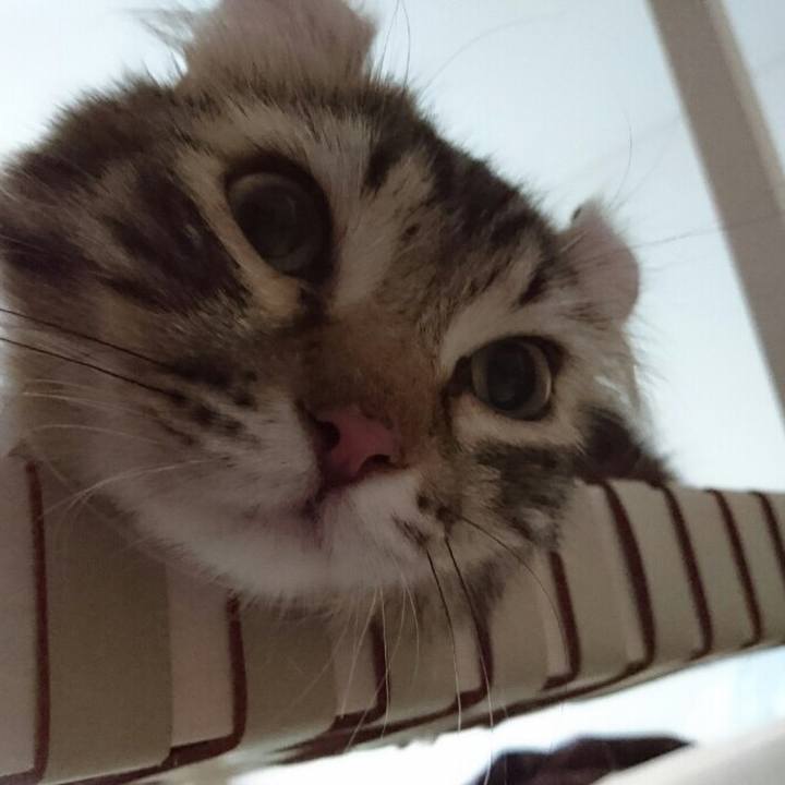 0652ee2e 3e71 46d7 950d 203e77adeada 1511661301216