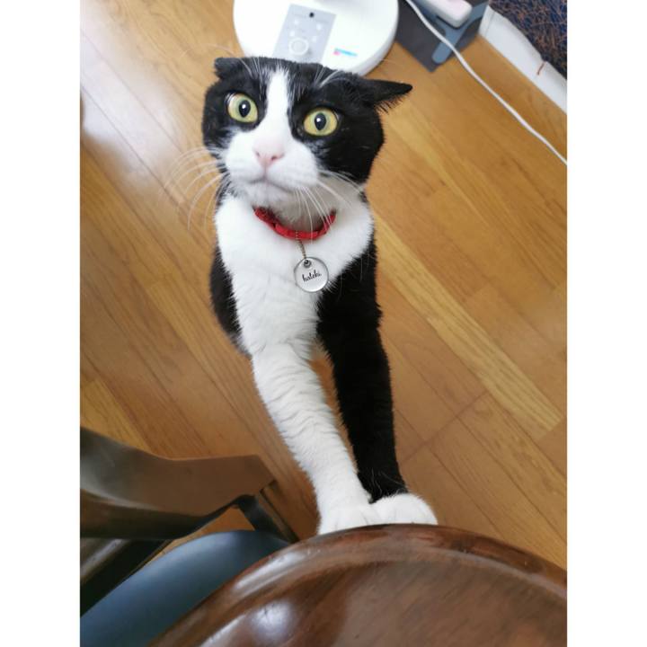 06534303 69f4 40ae bb06 aae6ef37b15c 1657346731927