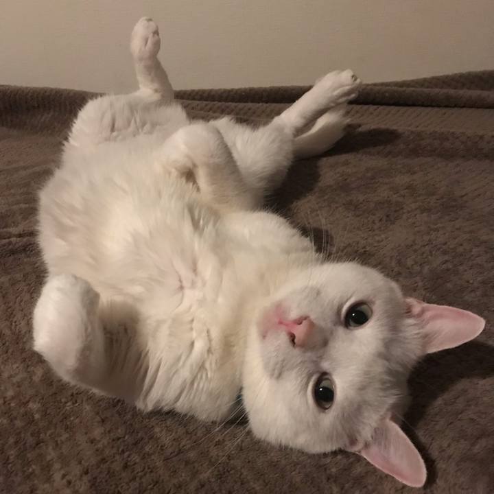 06534789 825c 47fd a4fb 14ca883caf81 1545899649882