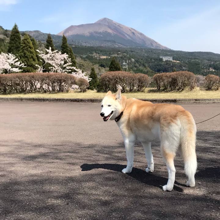 06538a04 9416 4619 ba89 d94b1fc96e93 1743809119185