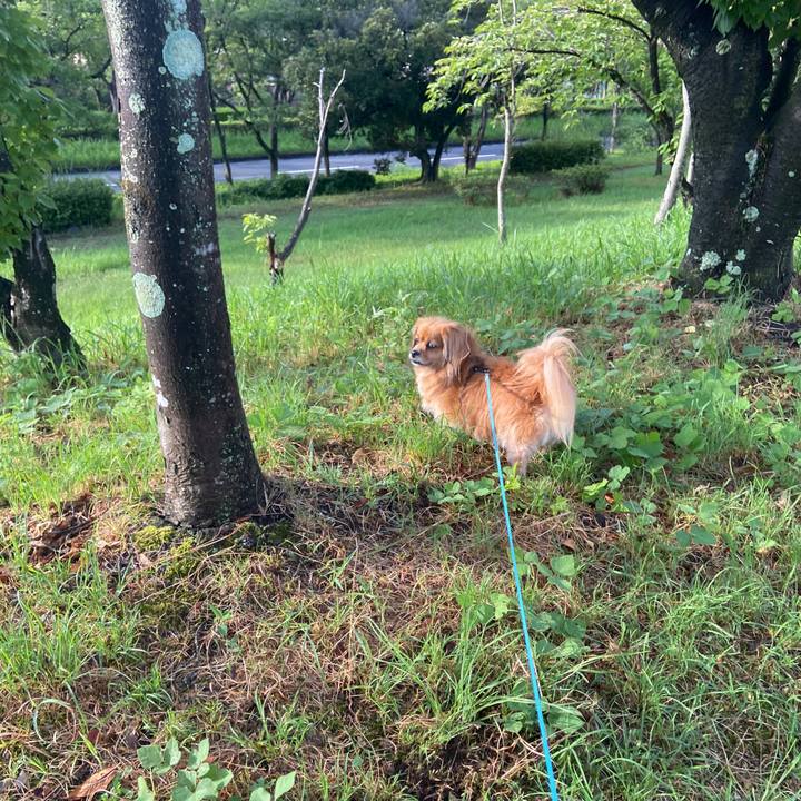 06539fab 53d8 4983 879d 4910fbf40ad3 1660545451694