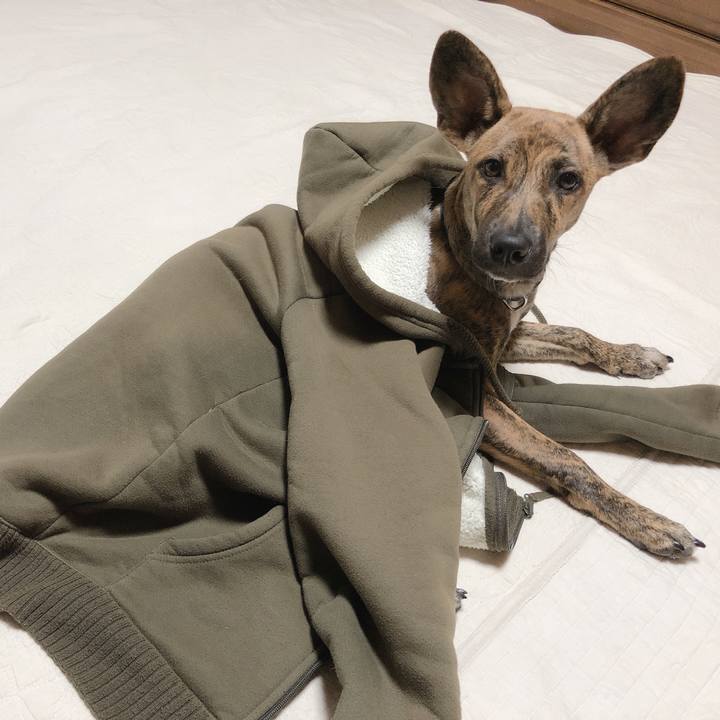 0653a1d4 edd5 48be 8245 72ea5f917928 1575181275695