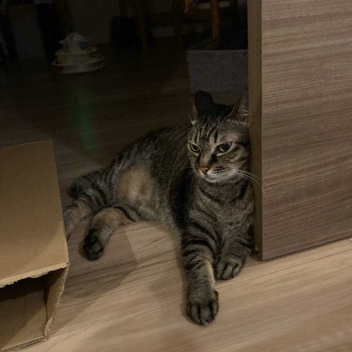 0653aa3f 526a 484c 94e4 e0de5511d3c6 1693478778050