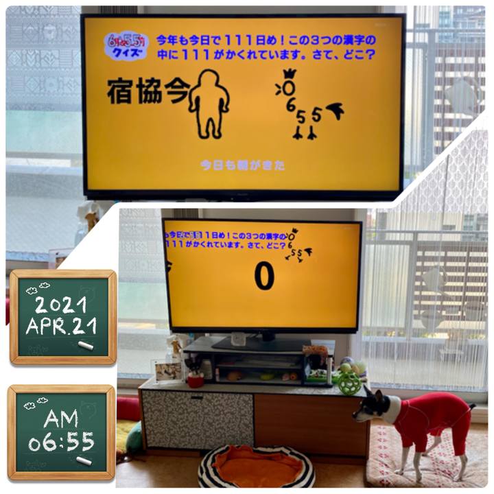 0653b128 ed58 40a8 a679 fc522200ba5f 1618959870687