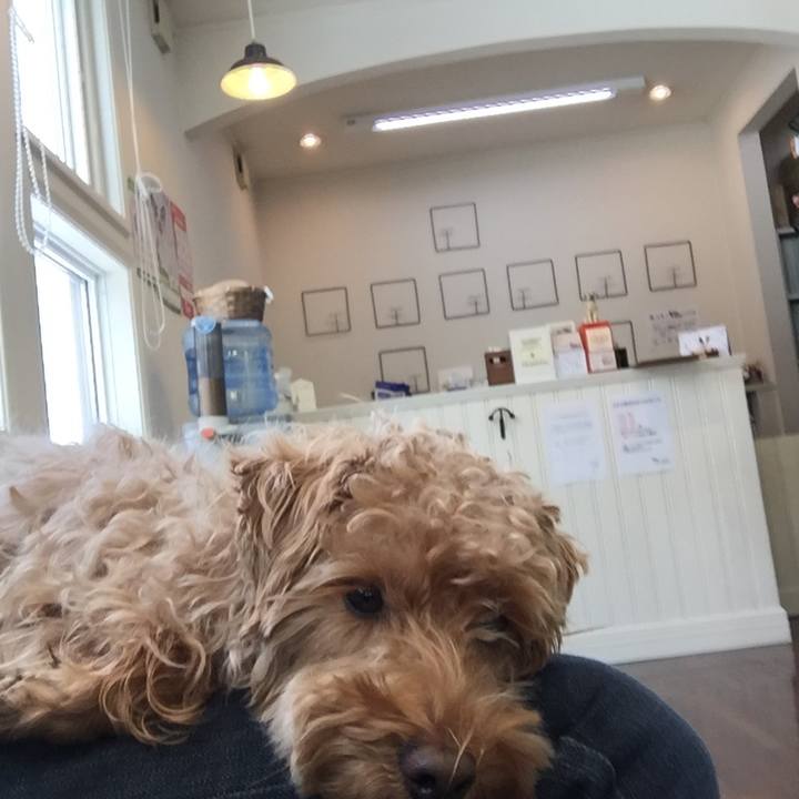 0653b872 10a9 4ac1 9928 4b9fbd4757d8 1519440438191