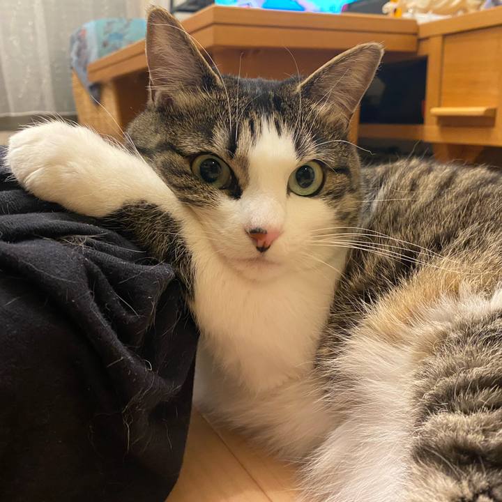 0653d2e3 1056 4ff7 87a0 47a892f70573 1619356903162