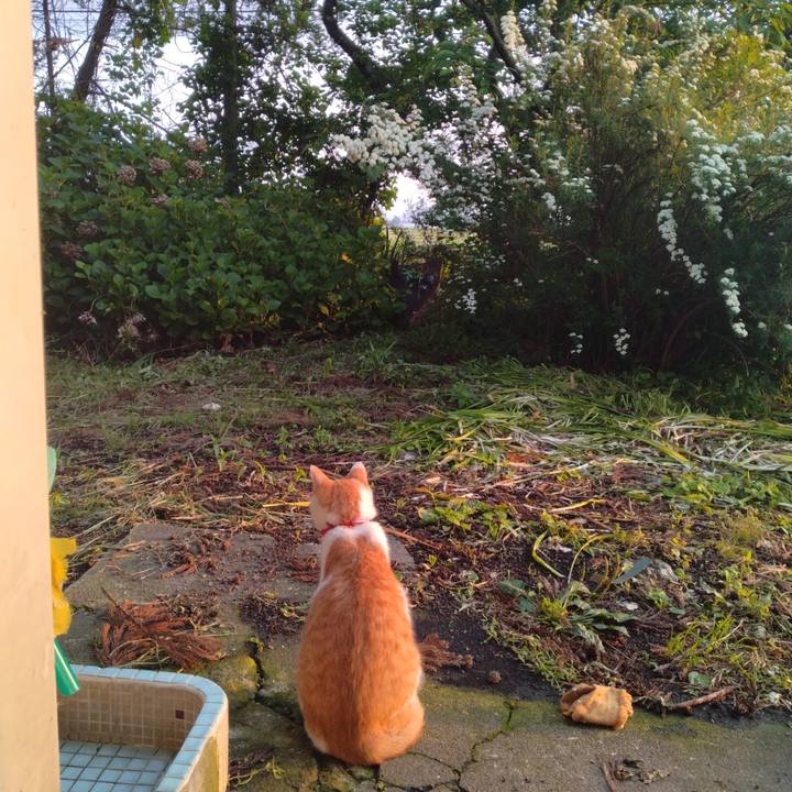 0653fa81 e60e 4300 8d21 f0ede61ae24b 1748817073431